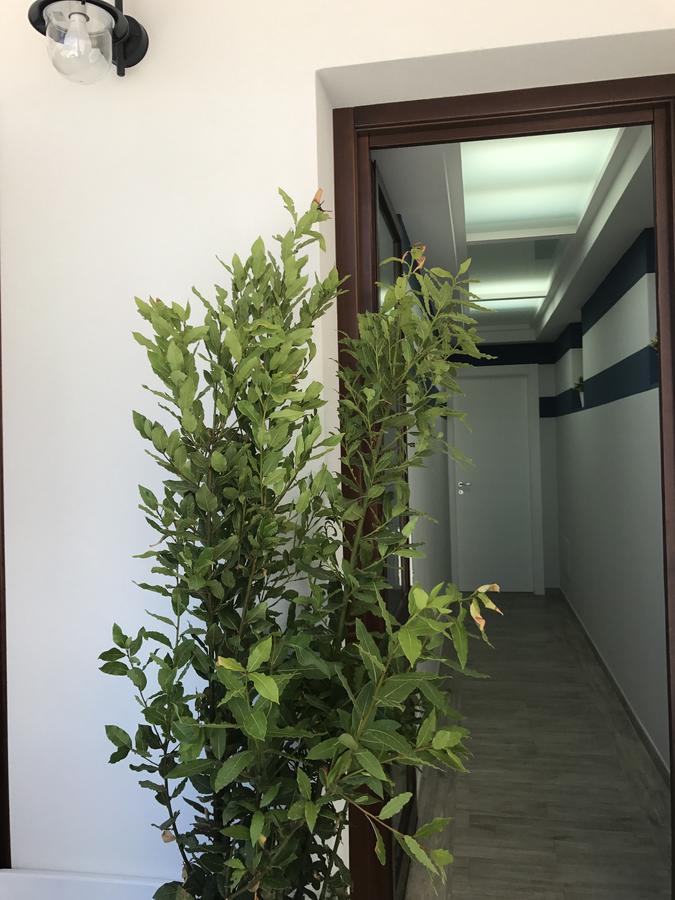 Elisir Suite Rooms By Marino Tourist San Vito Lo Capo Dış mekan fotoğraf